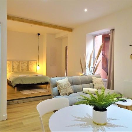 Apartament Sublime Cocon Pour 2 Aux Portes De La Place Nationale - Proximite Immediate Toutes Commodites Et Sites D'Interets Montauban Zewnętrze zdjęcie