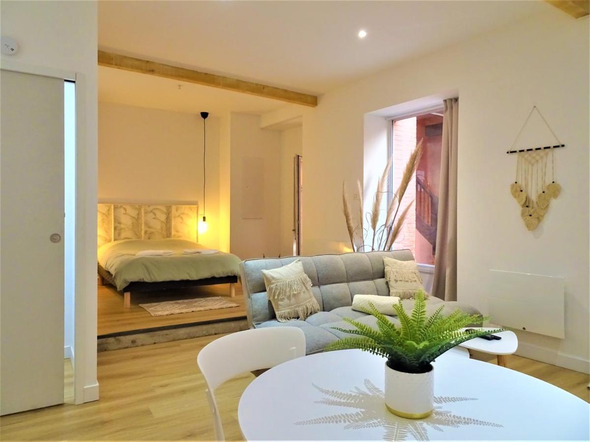 Apartament Sublime Cocon Pour 2 Aux Portes De La Place Nationale - Proximite Immediate Toutes Commodites Et Sites D'Interets Montauban Zewnętrze zdjęcie